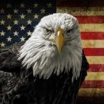 admin的头像-万寻网